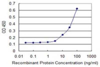 ELISA: FANCB Antibody (2B10) [H00002187-M01]