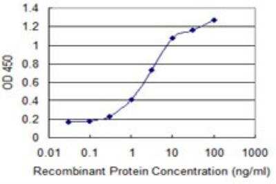 ELISA: FBXO11 Antibody (1A2) [H00080204-M02]