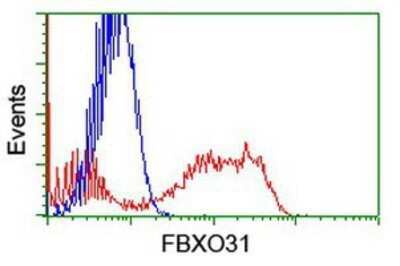 Flow Cytometry: FBXO31 Antibody (OTI1H1) - Azide and BSA Free [NBP2-72208]