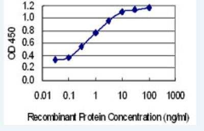 ELISA: FBXO41 Antibody (6B6) [H00150726-M02-100ug]