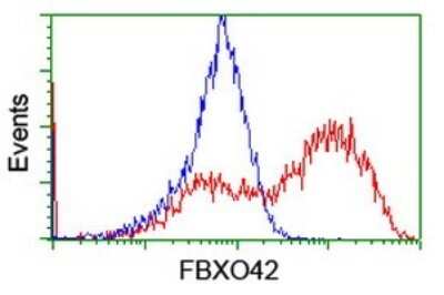 Flow Cytometry: FBXO42 Antibody (OTI1H4) [NBP2-45621]