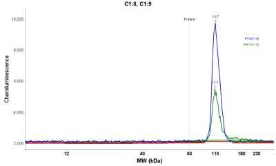 Simple Western: FCHO2 Antibody [NBP2-32694]