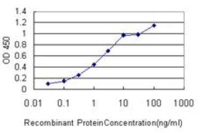 ELISA: FGF-12 Antibody (1D9) [H00002257-M10]