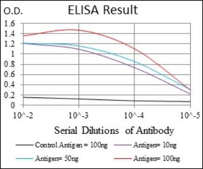 ELISA: FGF-4 Antibody (3A12G9) - BSA Free [NBP2-37374]
