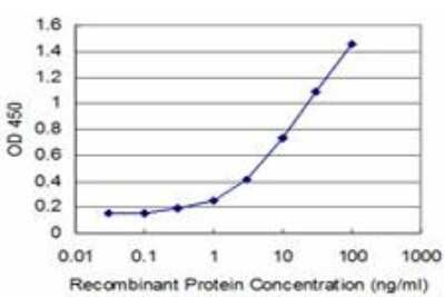 ELISA: FGF-8 Antibody (2A11) [H00002253-M05]