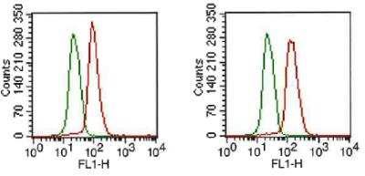 Flow Cytometry: FGFR1 Antibody (M17A3) - BSA Free [NB100-2079]