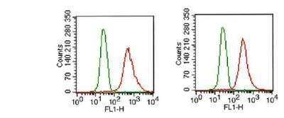 Flow Cytometry: FGFR1 Antibody (M17D10) - BSA Free [NB100-2080]