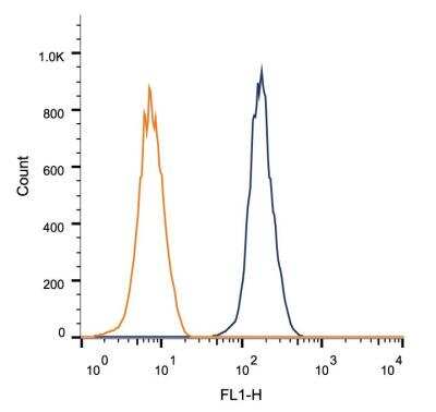 Flow Cytometry: FGFR1 Antibody (M19B2) - BSA Free [NB600-1287]