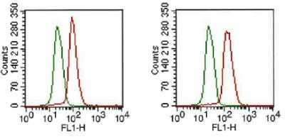 Flow Cytometry: FGFR1 Antibody (M17A3) - Azide and BSA Free [NBP2-80732]