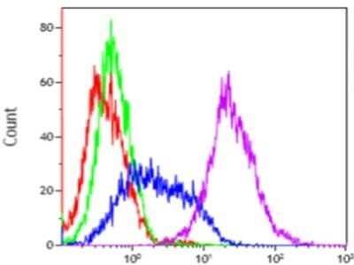 Flow Cytometry: FGFR1 Antibody (M19B2) - Azide and BSA Free [NBP2-80735]