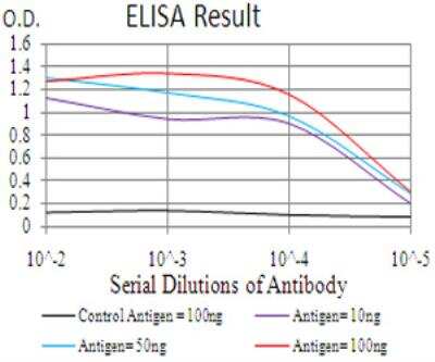 ELISA: FGFR3 Antibody (1E3F9) - BSA Free [NBP2-52469]