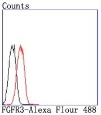 Flow Cytometry: FGFR3 Antibody (JM110-33) [NBP2-66840]