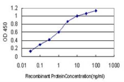 ELISA: FHIT Antibody (1E3) [H00002272-M03]