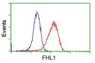 Flow Cytometry: FHL1 Antibody (OTI3G7) [NBP2-02654]