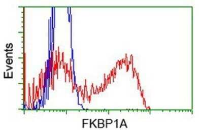 Flow Cytometry: FKBP12 Antibody (OTI3B3) - Azide and BSA Free [NBP2-70741]