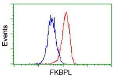 Flow Cytometry: FKBPL Antibody (OTI2D8) [NBP2-03407]