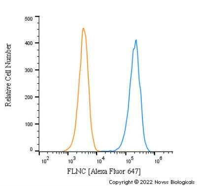 Flow Cytometry: FLNC Antibody - BSA Free [NBP2-79816]