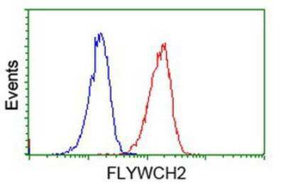 Flow Cytometry: FLYWCH2 Antibody (OTI3G3) [NBP2-00646]