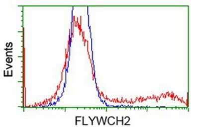 Flow Cytometry: FLYWCH2 Antibody (OTI3G3) [NBP2-00646]