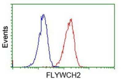 Flow Cytometry: FLYWCH2 Antibody (OTI3G3) - Azide and BSA Free [NBP2-72341]