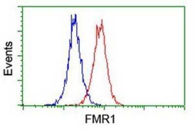 Flow Cytometry: FMRP Antibody (OTI1C6) - Azide and BSA Free [NBP2-70756]