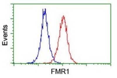 Flow Cytometry: FMRP Antibody (OTI3B4) [NBP2-45689]