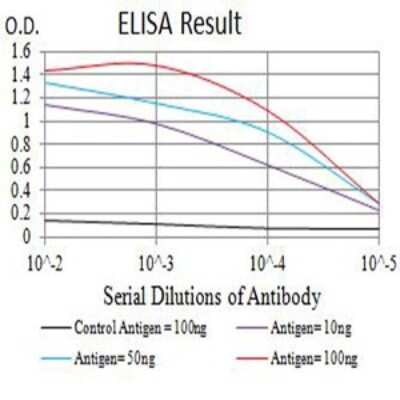 ELISA: FOLR1 Antibody (2G5C12) - BSA Free [NBP2-61773]