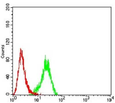 ELISA: FOLR1 Antibody (2G5C12) - BSA Free [NBP2-61773]