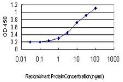 ELISA: FOX2 Antibody (4G3) [H00023543-M01]