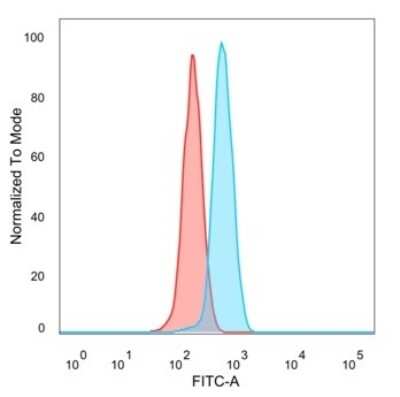 Flow Cytometry: FOXB1 Antibody (PCRP-FOXB1-1B7) [NBP3-13926]