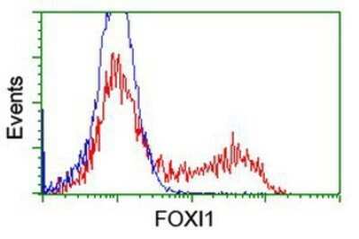 Flow Cytometry: FOXI1 Antibody (OTI1D4) - Azide and BSA Free [NBP2-70747]