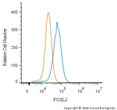 Flow Cytometry: FOXL2 Antibody - BSA Free [NBP2-70013]