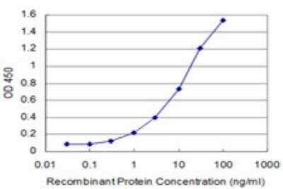 ELISA: FOXQ1 Antibody (2F2) [H00094234-M05]