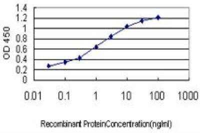 ELISA: FUBP1 Antibody (3H4) [H00008880-M01]