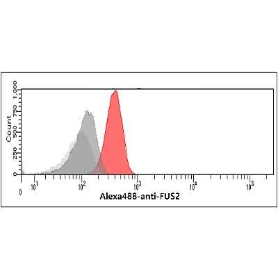 Flow Cytometry: FUS2 Antibody (2F4) - BSA Free [NBP1-41157]
