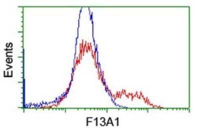 Flow Cytometry: Factor XIIIa Antibody (OTI6F5) - Azide and BSA Free [NBP2-70696]
