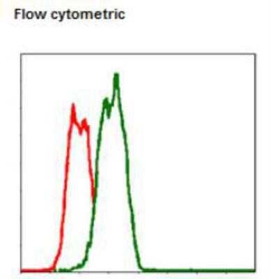 Flow Cytometry: Fas/TNFRSF6/CD95 Antibody (4F8D6) - BSA Free [NBP2-13078]