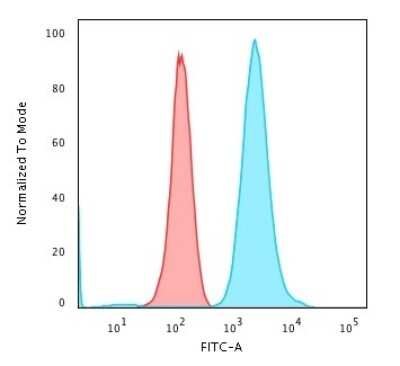 Flow Cytometry: Fascin Antibody (FSCN1/417) [NBP2-44383]