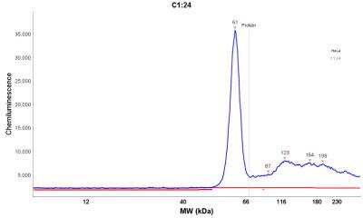 Simple Western: Fascin Antibody (FSCN1/417) [NBP2-44383]