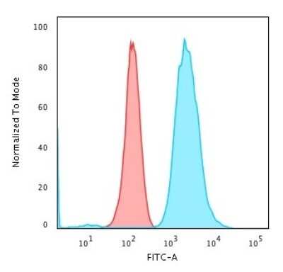 Flow Cytometry: Fascin Antibody (FSCN1/418) [NBP2-44385]