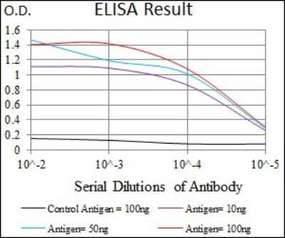 ELISA: Fc epsilon RI Antibody (1F2A9) - BSA Free [NBP2-37402]