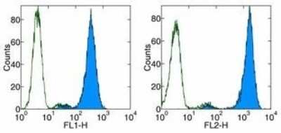 Flow Cytometry: Fc epsilon RI Antibody (43160) - BSA Free [NBP1-43279]
