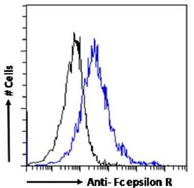 Flow Cytometry: Fc epsilon RI Antibody (IE7) - Chimeric - Azide and BSA Free [NBP3-12052]
