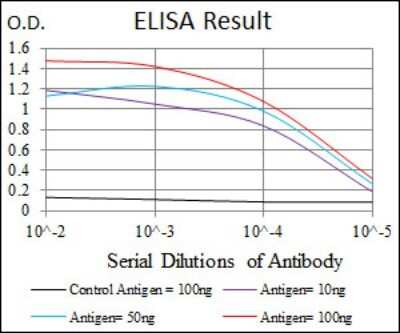 ELISA: Fibronectin Antibody (2F4) - Azide and BSA Free [NBP2-80737]
