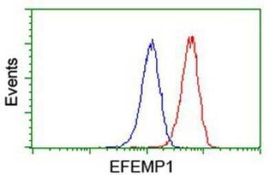 Flow Cytometry: Fibulin-3/EFEMP1 Antibody (OTI1D9) - Azide and BSA Free [NBP2-70700]