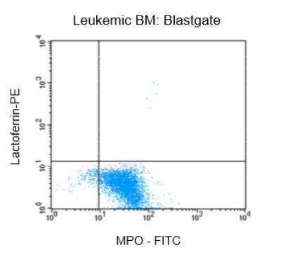 Flow Cytometry: Fixation and Permeabilization Flow Cytometry Kit [NBP2-31377]