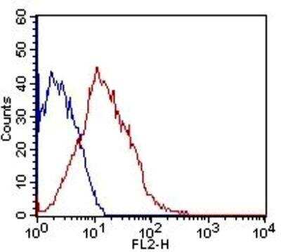 Flow Cytometry: Flt-3/Flk-2/CD135 Antibody (7E8.2C8) - BSA Free [NBP2-42210]