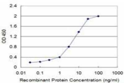 ELISA: Flt-3 Ligand/FLT3L Antibody (4C4) [H00002323-M07]