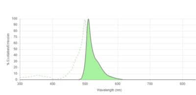 Fluorescent Exosome Standards (COLO1 cell line) NBP3-11690: Novus ...