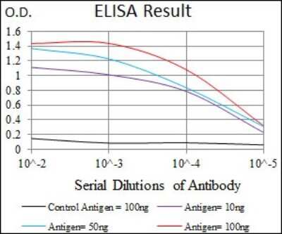 ELISA: FoxC2 Antibody (1D11C8) - BSA Free [NBP2-37409]
